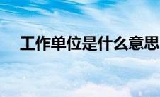 工作单位是什么意思（单位是什么意思）