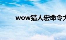 wow猎人宏命令大全（wow瑟卡）