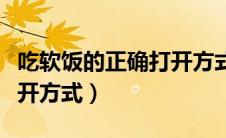 吃软饭的正确打开方式下载（吃软饭的正确打开方式）