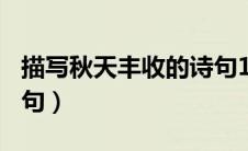 描写秋天丰收的诗句153（描写秋天丰收的诗句）