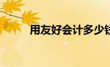 用友好会计多少钱（用友好会计）