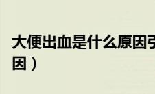 大便出血是什么原因引起（大便出血是什么原因）