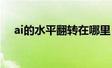 ai的水平翻转在哪里（AI怎么水平翻转）