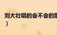 刘大壮唱的会不会的歌词（会不会歌词刘大壮）