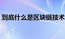 到底什么是区块链技术（什么是区块链产业）