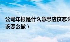 公司年报是什么意思应该怎么做的（公司年报是什么意思应该怎么做）