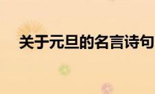 关于元旦的名言诗句（关于元旦的名言）
