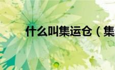 什么叫集运仓（集运仓是什么意思）