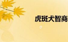 虎斑犬智商（虎斑犬）