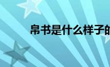 帛书是什么样子的（帛书是什么）