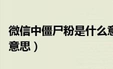 微信中僵尸粉是什么意思（微信僵尸粉是什么意思）