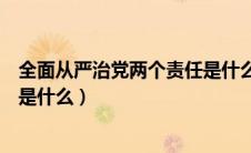 全面从严治党两个责任是什么意思（全面从严治党两个责任是什么）
