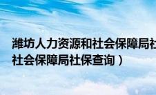 潍坊人力资源和社会保障局社保查询官网（潍坊人力资源和社会保障局社保查询）