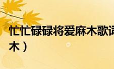 忙忙碌碌将爱麻木歌词（所以忙忙碌碌将爱麻木）