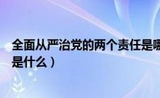 全面从严治党的两个责任是哪两个（全面从严治党两个责任是什么）