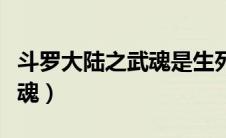 斗罗大陆之武魂是生死薄（斗罗大陆之五生武魂）