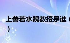 上善若水魏教授是谁（王迅魏教授讲上善若水）