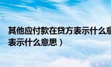其他应付款在贷方表示什么意思是负数（其他应付款在贷方表示什么意思）