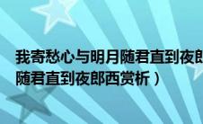 我寄愁心与明月随君直到夜郎西表达效果（我寄愁心与明月随君直到夜郎西赏析）