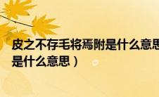 皮之不存毛将焉附是什么意思比喻什么（皮之不存毛将焉附是什么意思）