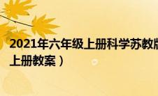 2021年六年级上册科学苏教版教案（苏教版小学六年级科学上册教案）