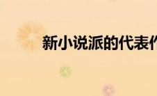 新小说派的代表作家（新小说派）