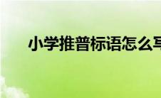 小学推普标语怎么写（小学推普标语）