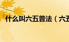 什么叫六五普法（六五普法是哪年到哪年）
