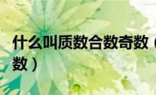 什么叫质数合数奇数（什么是质数合数奇数偶数）