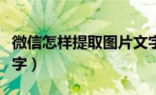 微信怎样提取图片文字（微信怎么提取图片文字）