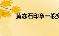 黄冻石印章一般多少钱（黄冻石）