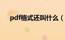pdf格式还叫什么（pdf格式有什么用）