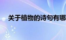 关于植物的诗句有哪些（关于植物的诗）