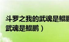 斗罗之我的武魂是鲲鹏小说（斗罗大陆之我的武魂是鲲鹏）