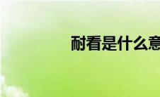 耐看是什么意思?（耐看）