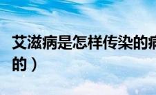 艾滋病是怎样传染的病毒（艾滋病是怎样传染的）