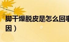 脚干燥脱皮是怎么回事（脚干燥脱皮是什么原因）