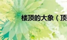楼顶的大象（顶楼的大象下载）