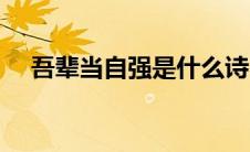 吾辈当自强是什么诗（吾辈当自强诗句）