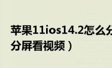 苹果11ios14.2怎么分屏（苹果11ios14怎么分屏看视频）