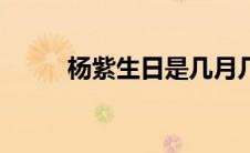 杨紫生日是几月几日（杨紫生日）