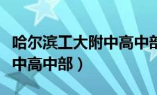 哈尔滨工大附中高中部副校长（哈尔滨工大附中高中部）