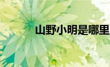 山野小明是哪里的（山野小明）