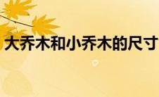 大乔木和小乔木的尺寸（大小乔木怎么区分）