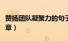 赞扬团队凝聚力的句子（赞扬团队凝聚力的文章）