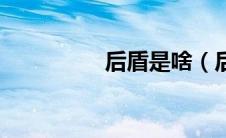 后盾是啥（后盾网官网）