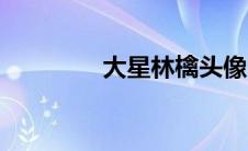 大星林檎头像（大星林檎）