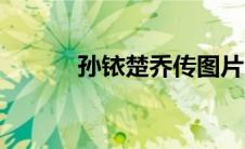 孙铱楚乔传图片（孙铱楚乔传）