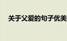 关于父爱的句子优美（关于父爱的短句）