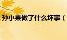 孙小果做了什么坏事（孙小果做了些什么呃）
